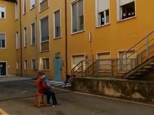 愛は感染対策を乗り越える！　入院中の妻に会えない夫がとった行動に称賛の声