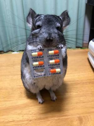 「お薬だしておきますね」　風邪の女性に薬を処方したのは？