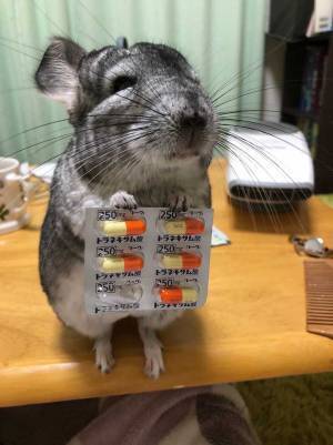 「お薬だしておきますね」　風邪の女性に薬を処方したのは？