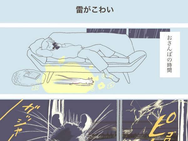 家の中を走り回っていたネズミ　すると、突然雷が落ちて…？
