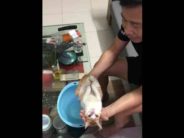 息子に沐浴の仕方を教える父親　赤ちゃん役の『子猫』の演技が絶賛される