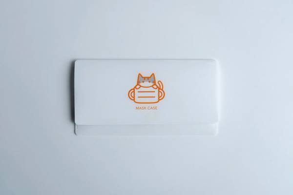 厚紙製の『車』に入る猫の集団！　撮影できるのは、なんと…？