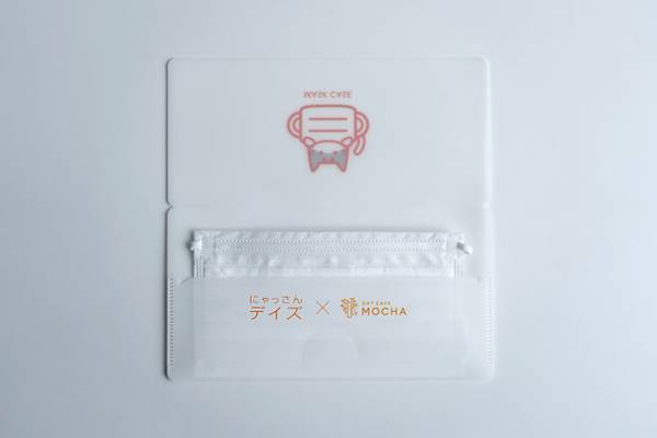 厚紙製の『車』に入る猫の集団！　撮影できるのは、なんと…？