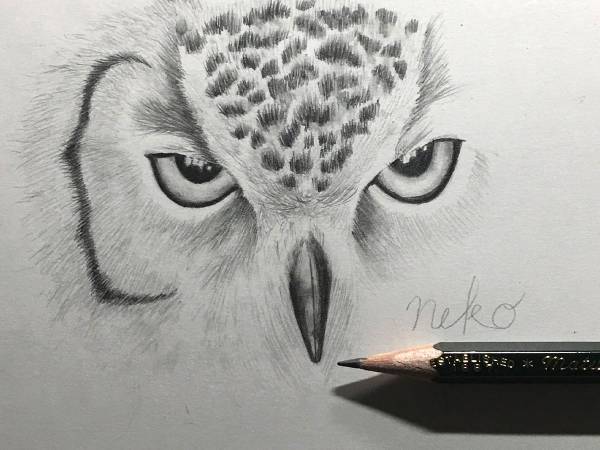 ほぼ毎日絵を描いた結果…？　この作品から４年後の成長に驚き！