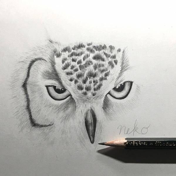 ほぼ毎日絵を描いた結果 この作品から４年後の成長に驚き 年11月日 ウーマンエキサイト 1 2