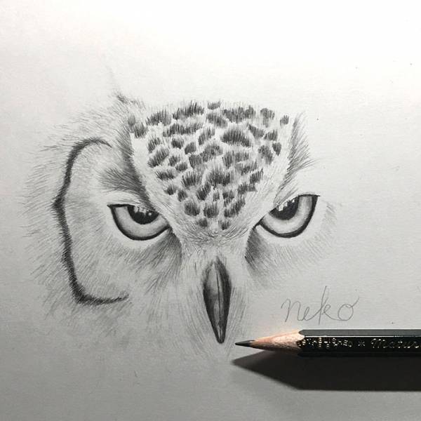 ほぼ毎日絵を描いた結果…？　この作品から４年後の成長に驚き！