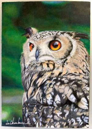 ほぼ毎日絵を描いた結果…？　この作品から４年後の成長に驚き！