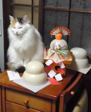 「夏毛と冬毛の差が極端すぎた」　猫のギャップに「本当に同じ猫！？」「威厳がスゴイ」