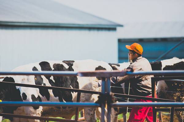 北海道の牛肉に注目！　特別価格で販売されている道産牛肉で家族団らんしませんか