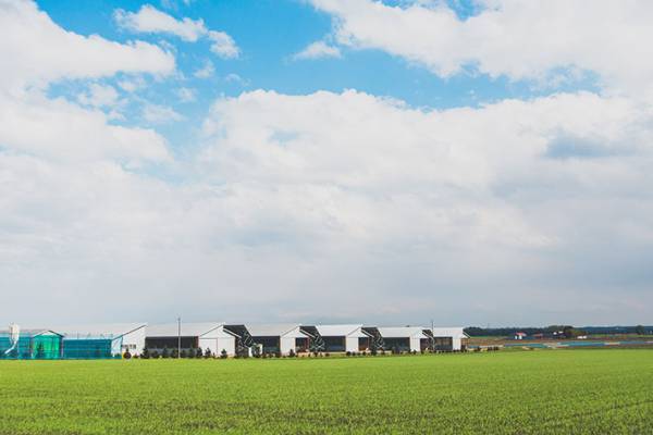 北海道の牛肉に注目！　特別価格で販売されている道産牛肉で家族団らんしませんか