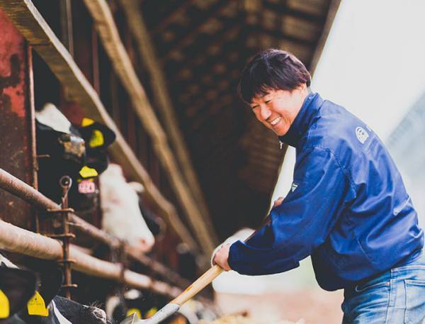 北海道の牛肉に注目！　特別価格で販売されている道産牛肉で家族団らんしませんか