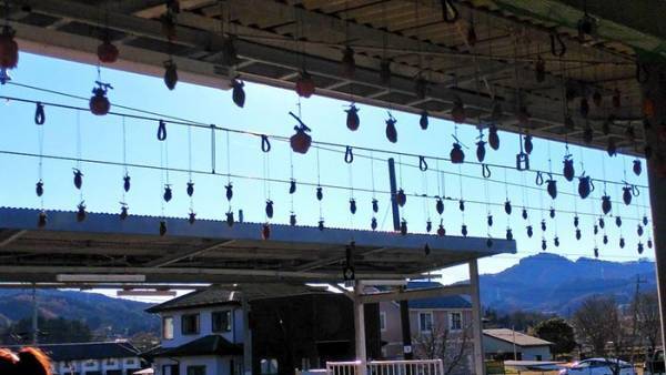 駅でぶら下がっていた『謎のもの』　その正体に「これはビビる」「最高の光景」