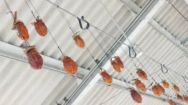 駅でぶら下がっていた『謎のもの』　その正体に「これはビビる」「最高の光景」