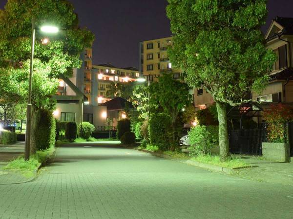 お寿司を食べたい猫の『恨み』　１５万人が吹き出した１枚がこちら