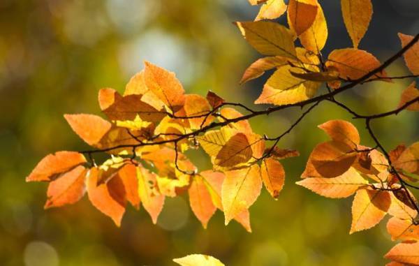 過ぎ去った年月に思いを馳せるように、生きてきた時間を振り返るときがいつか来る