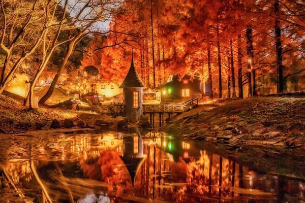 まるで異世界！　秋を感じる３枚に思わず息をのむ