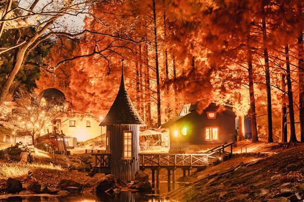 まるで異世界！　秋を感じる３枚に思わず息をのむ