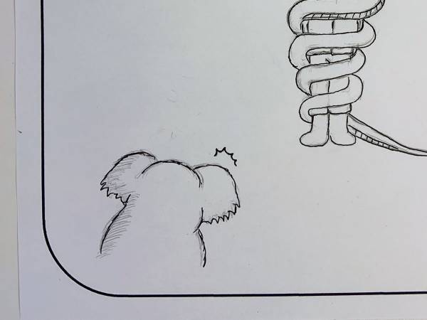 「キングコブラを飼育して」　来園者の要望への、飼育員の正直すぎる返答に反響