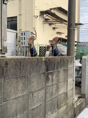 「大丈夫ですかー！？」　塀から落ちて、ひっくり返った？　助けに駆け寄ると…