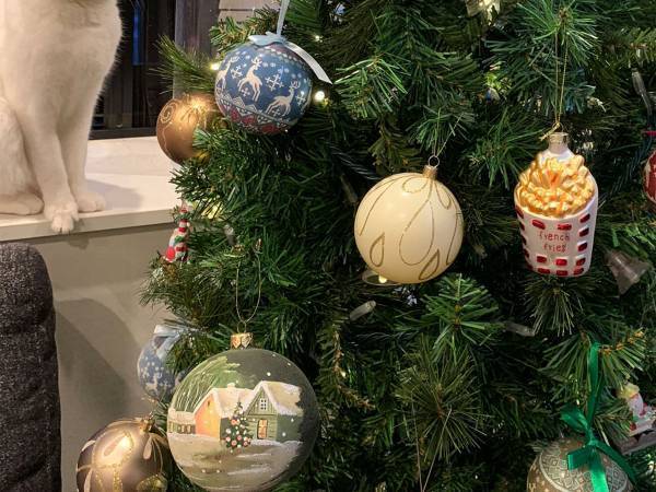 自宅にクリスマスツリーを飾った女性　写真を撮ると横に写り込んでいたのは…