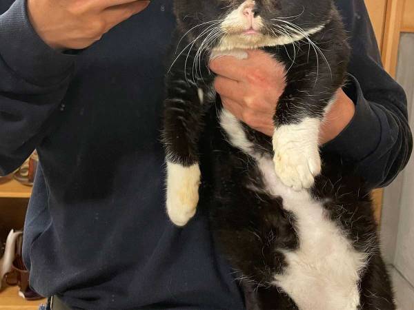 愛猫とツーショット写真を撮ろうとしたら…　完成した『３枚』に、爆笑