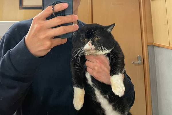 愛猫とツーショット写真を撮ろうとしたら…　完成した『３枚』に、爆笑