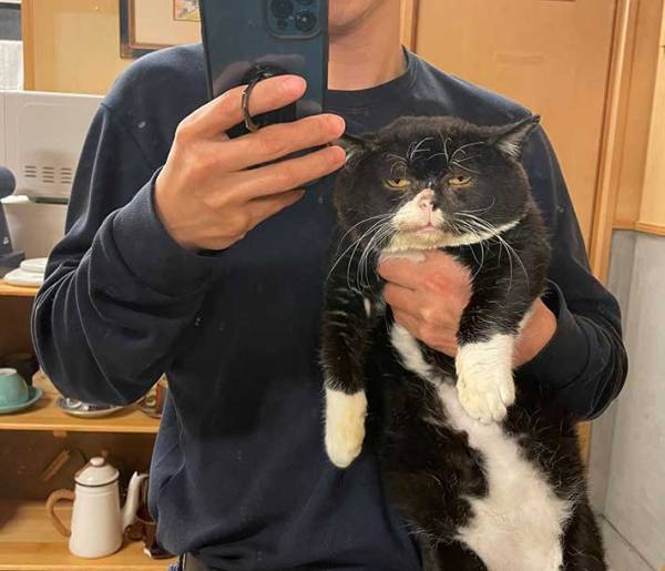 愛猫とツーショット写真を撮ろうとしたら…　完成した『３枚』に、爆笑