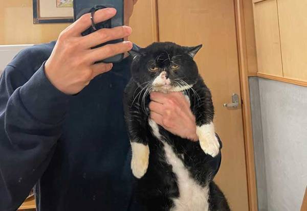 愛猫とツーショット写真を撮ろうとしたら…　完成した『３枚』に、爆笑