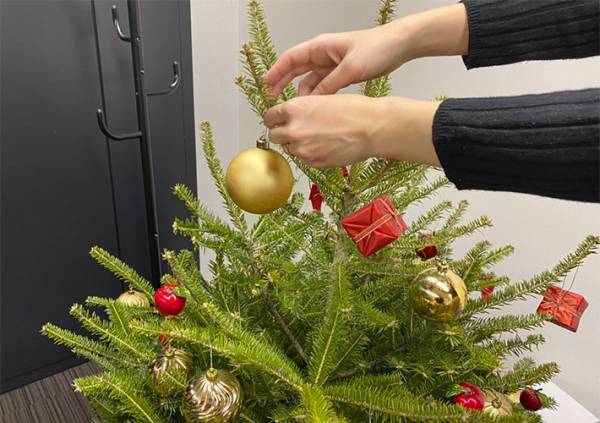 IKEAで『本物のモミの木』を買ってみた　店で気付いた『痛恨のミス』って？　「意外と…」