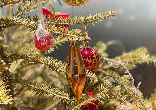 IKEAで『本物のモミの木』を買ってみた　店で気付いた『痛恨のミス』って？　「意外と…」