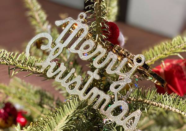 IKEAで『本物のモミの木』を買ってみた　店で気付いた『痛恨のミス』って？　「意外と…」