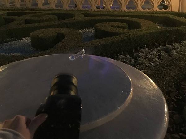 シンデレラ城を背景に靴を置くと…？　完成した写真に１８万いいね！