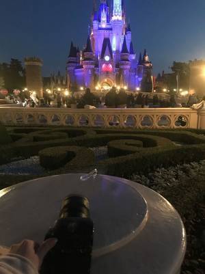 シンデレラ城を背景に靴を置くと…？　完成した写真に１８万いいね！