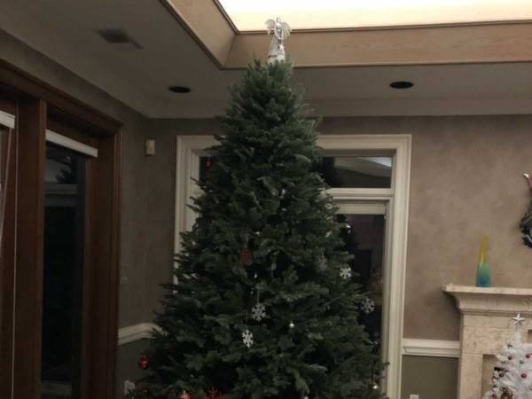 ４１万人が絶賛！　４歳の子が飾り付けをしたクリスマスツリーがこちらです