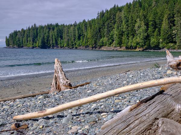 航空自衛隊員たちが冷たい海に入って救出　「ありがとう」「感謝しかない」の声
