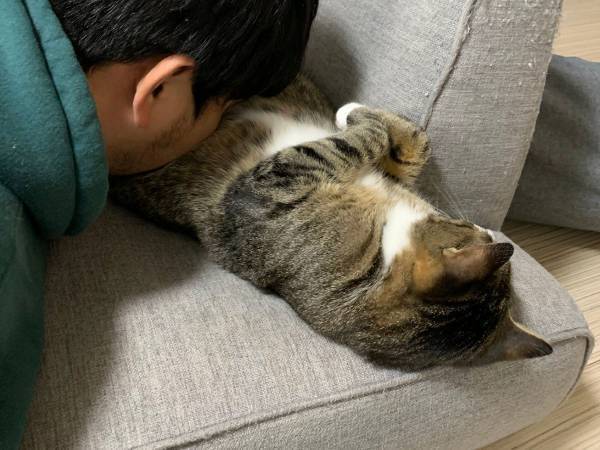 男性の『SOS』に１６万人が笑った理由とは？　「私も依存症」「気持ちが分かりすぎる」