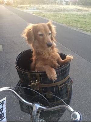 姉と弟の『LINE』を１４万人が絶賛　心温まる、その内容とは？