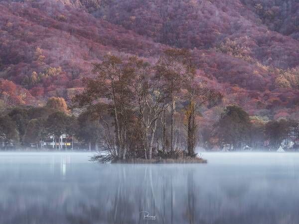 タイ人が撮った『日本の秋』が美しすぎると話題　「まるで絵画」「うっとりした」
