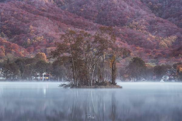 タイ人が撮った『日本の秋』が美しすぎると話題　「まるで絵画」「うっとりした」