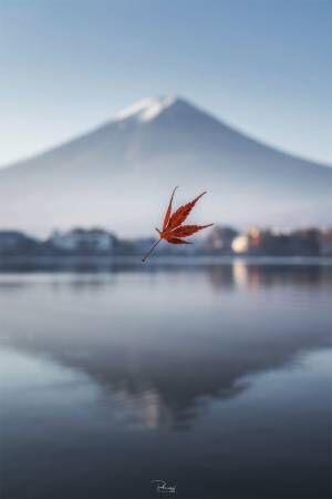 タイ人が撮った 日本の秋 が美しすぎると話題 まるで絵画 うっとりした 年12月11日 ウーマンエキサイト