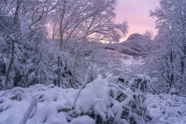 タイ人が撮った『日本の秋』が美しすぎると話題　「まるで絵画」「うっとりした」