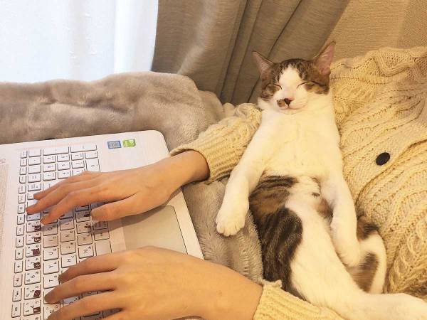 在宅勤務って最高じゃん…！　その理由が分かる『２枚』をご覧ください