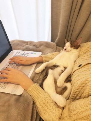 在宅勤務って最高じゃん…！　その理由が分かる『２枚』をご覧ください