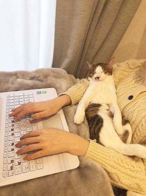 在宅勤務って最高じゃん…！　その理由が分かる『２枚』をご覧ください