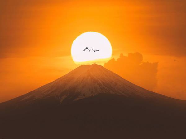 １２月１３日は金運がアップする『寅の日』！　ただし、やってはいけないことも