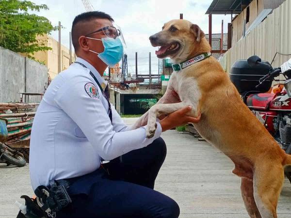 店内にいた野良犬を外に出した警備員　その方法に　「優しい」「ありがとう」