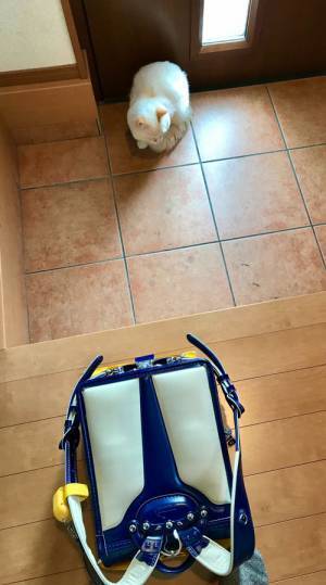 玄関に置かれたランドセル、さらに？　その先の光景に涙腺崩壊