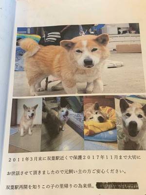 保護犬を引き取った人が『元飼い主』へあてた手紙　内容に心が震える