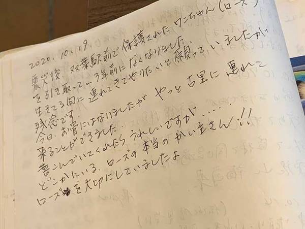 保護犬を引き取った人が『元飼い主』へあてた手紙　内容に心が震える