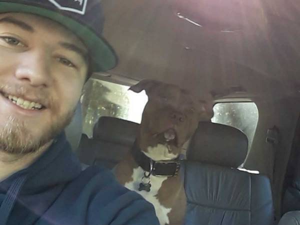 愛犬がクマに襲われている！　それを見た飼い主はクマに向かって突進して…